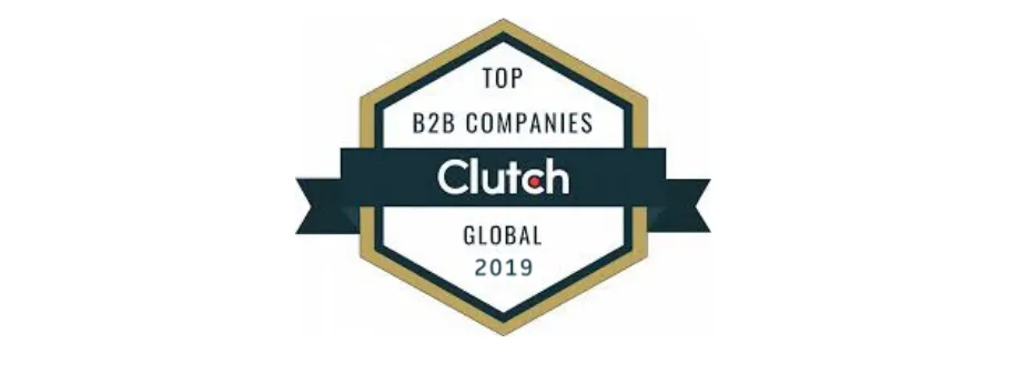 B2B IT development leader 2019