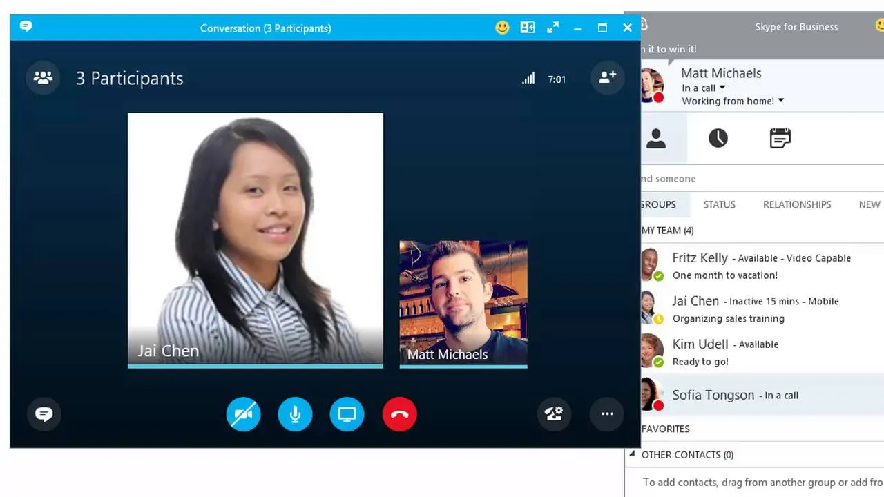 skype for business