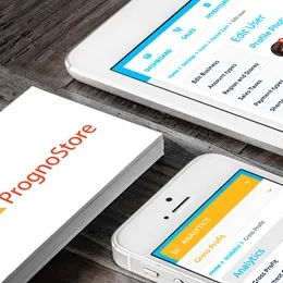 Magora IT company project: PrognoStore